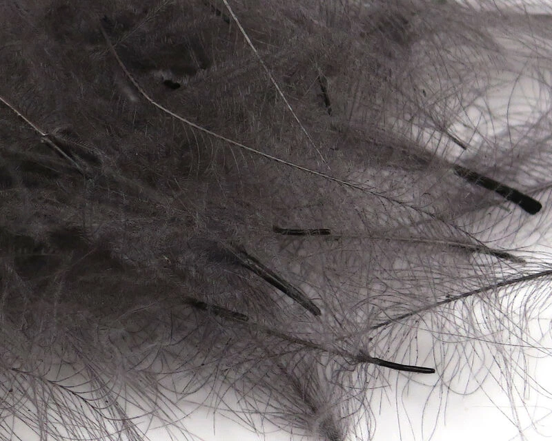 54 Dean Street Super Select CDC 10 54 Dean Street Super Select CDC - Image 8