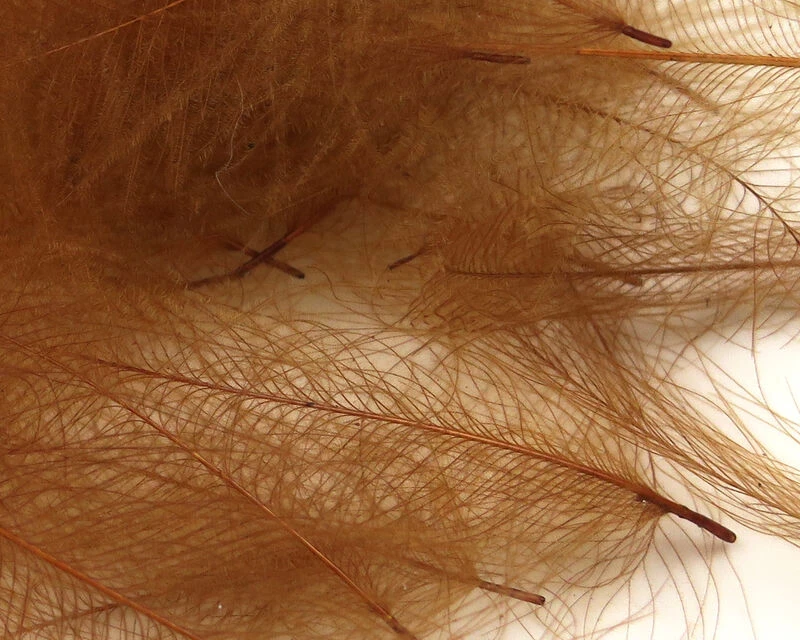 54 Dean Street Super Select CDC 11 54 Dean Street Super Select CDC - Image 9