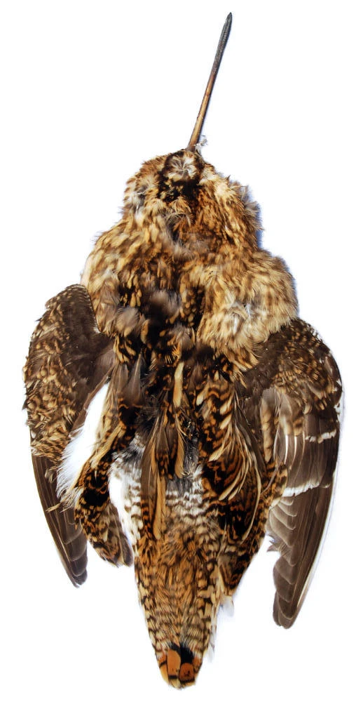 Snipe Skin 3 Snipe Skin