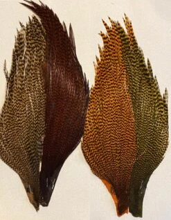 Hareline-Keough Tyers 4 Color Dyed Grizzly Trout Starter Cape Set