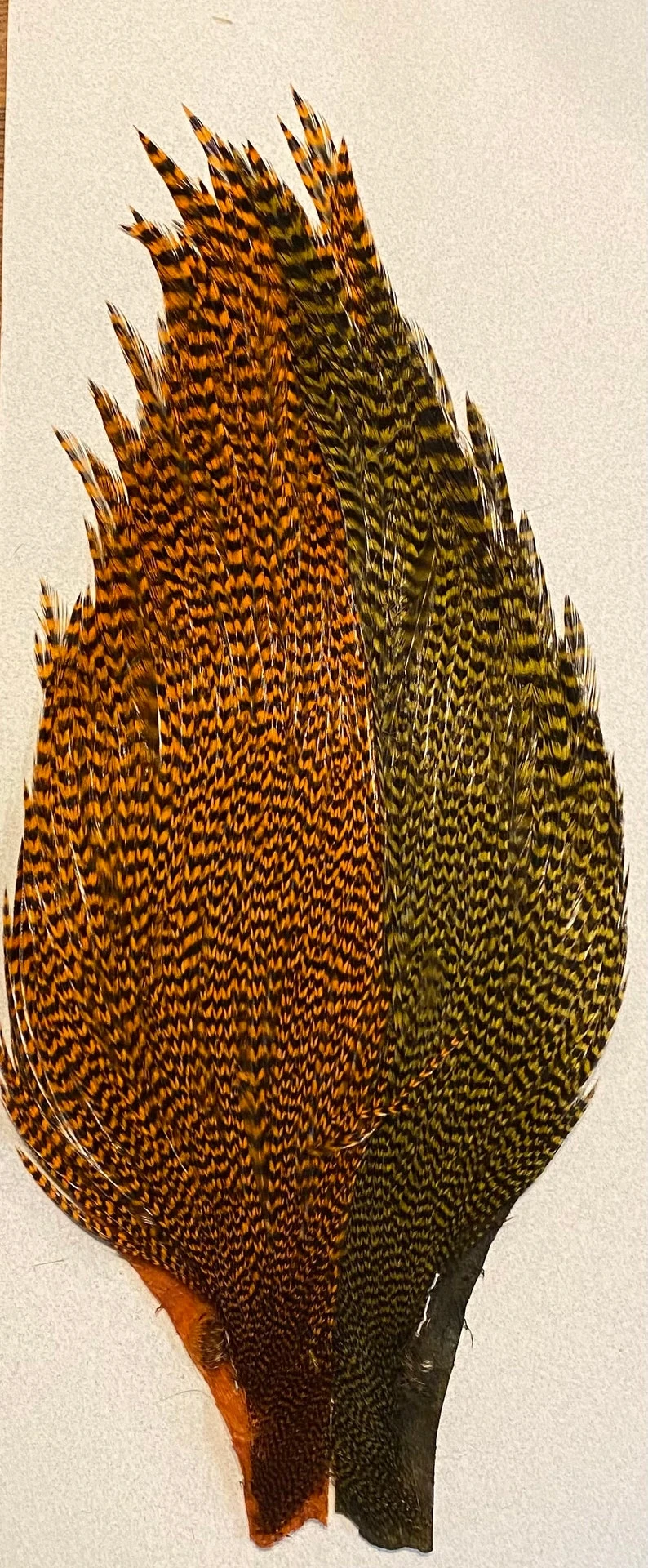 Hareline-Keough Tyers 4 Color Dyed Grizzly Trout Starter Cape Set 4 Hareline-Keough Tyers 4 Color Dyed Grizzly Trout Starter Cape Set - Image 2