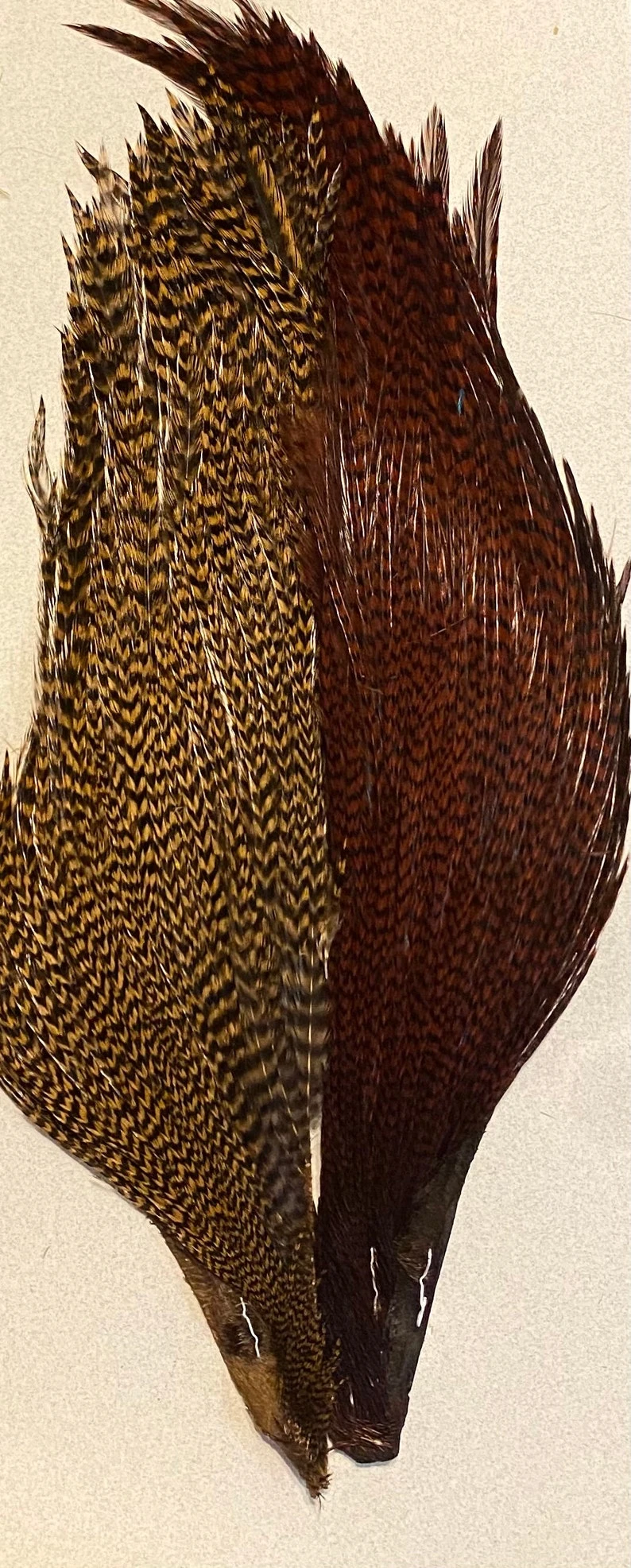 Hareline-Keough Tyers 4 Color Dyed Grizzly Trout Starter Cape Set 5 Hareline-Keough Tyers 4 Color Dyed Grizzly Trout Starter Cape Set - Image 3
