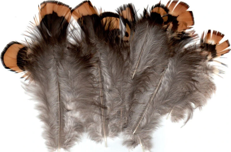 Venery Pheasant Body Plumage ( AKA Reeve’s Pheasant Feathers ) 3 Venery Pheasant Body Plumage ( AKA Reeve’s Pheasant Feathers )