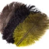 Jumbo Ostrich Herl/Plumes 1 Jumbo Ostrich Herl/Plumes -Fly Fishing Equipment Shop Wapsi Ostrich Mini Plumes