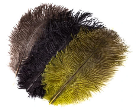 Jumbo Ostrich Herl/Plumes 3 Jumbo Ostrich Herl/Plumes