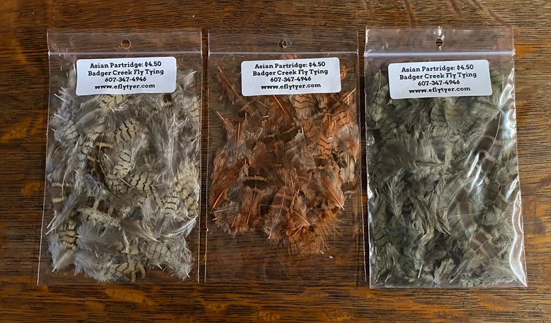 Asian Partridge Loose Natural And Dyed 4 Asian Partridge Loose Natural And Dyed - Image 2