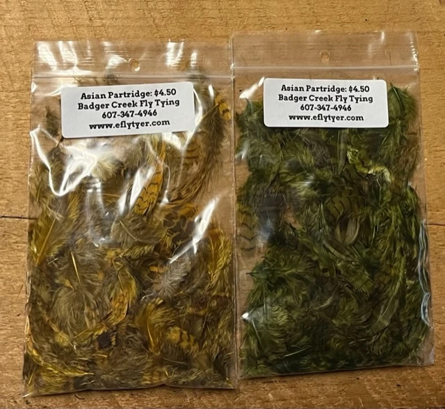 Asian Partridge Loose Natural And Dyed 3 Asian Partridge Loose Natural And Dyed