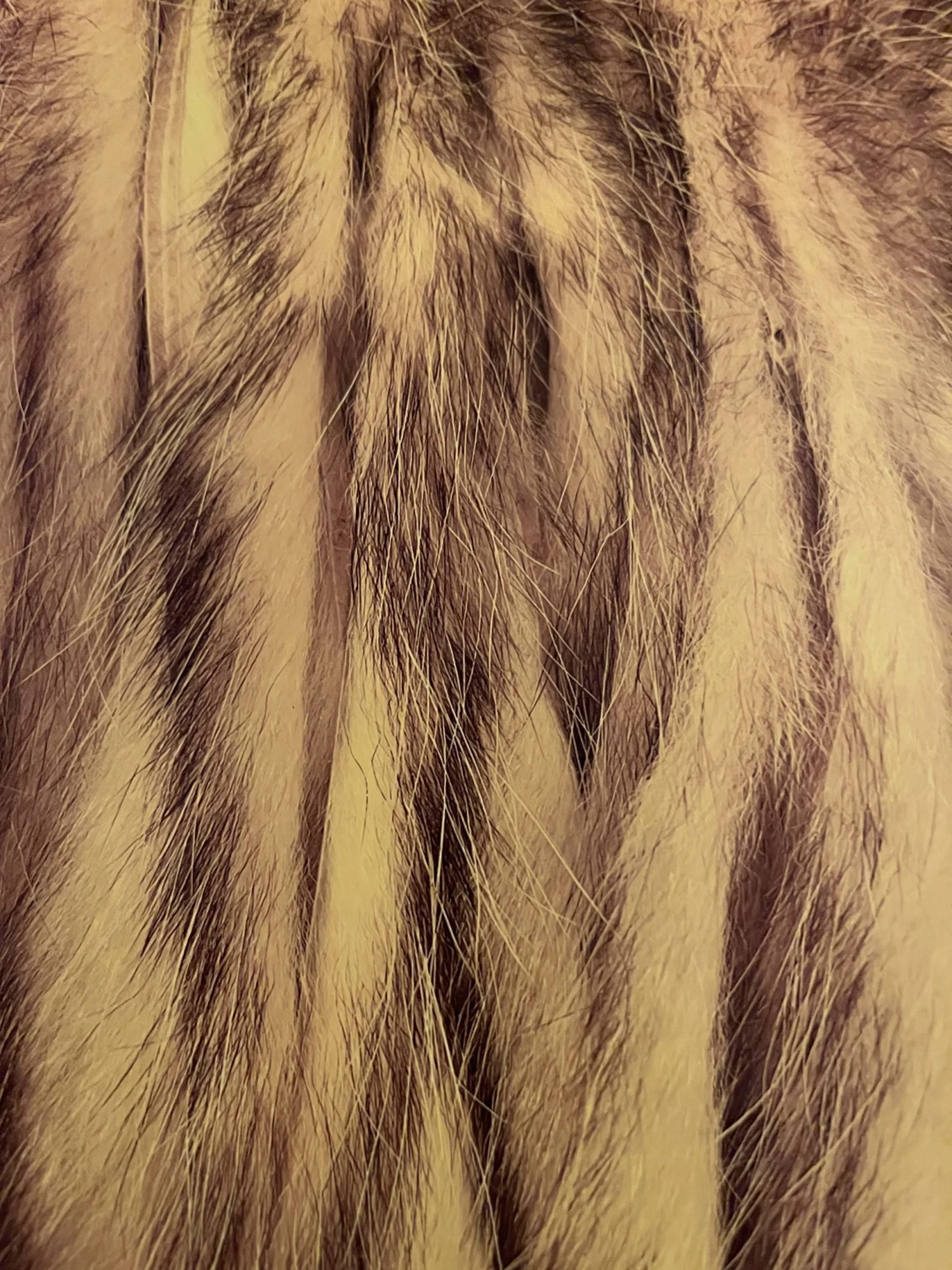 Wapsi Awesome ‘Possum Zonkers 1/2 Skin Tanned 3 Wapsi Awesome ‘Possum Zonkers 1/2 Skin Tanned