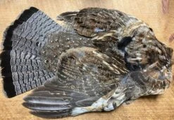 Badger Creek American Soft Hackle Sampler Set