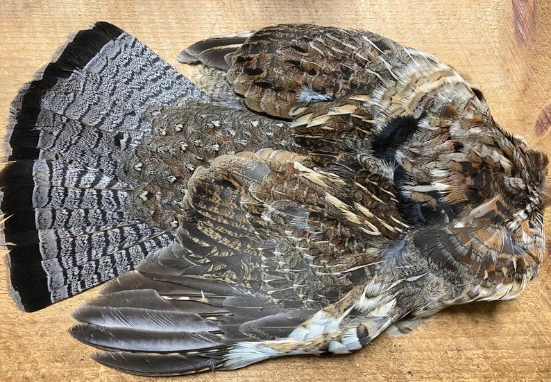 Badger Creek American Soft Hackle Sampler Set 3 Badger Creek American Soft Hackle Sampler Set