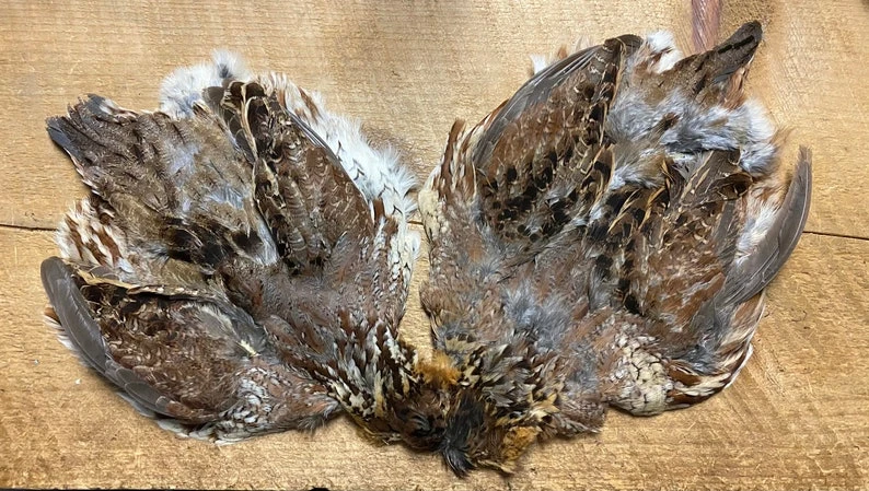 Badger Creek American Soft Hackle Sampler Set 4 Badger Creek American Soft Hackle Sampler Set - Image 2