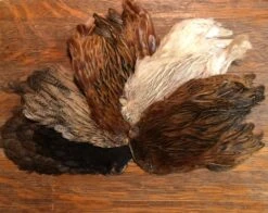 Badger Creek Indian Hen Cape Assortment