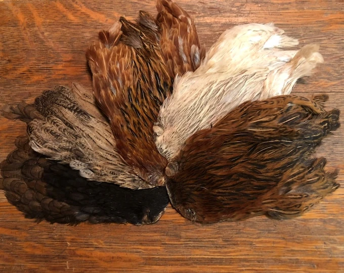 Badger Creek Indian Hen Cape Assortment 3 Badger Creek Indian Hen Cape Assortment