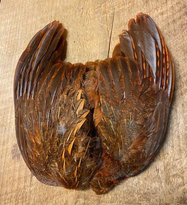 Ruffed Grouse Wing Pairs Natural And Dyed 4 Ruffed Grouse Wing Pairs Natural And Dyed - Image 2