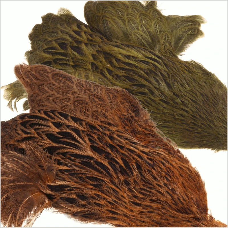 Whiting Farms Brahma Hen Capes 4 Whiting Farms Brahma Hen Capes - Image 2