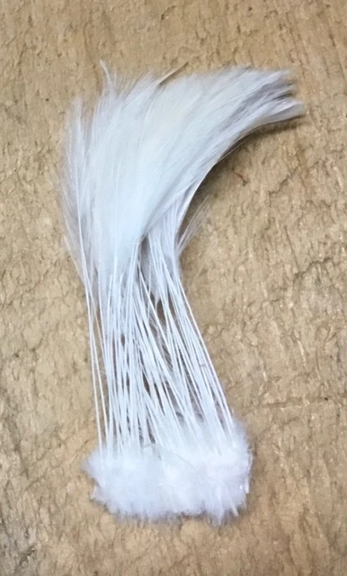 Cascade Crest Stripped Hackle Quills 5 Cascade Crest Stripped Hackle Quills - Image 3
