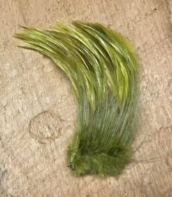Cascade Crest Stripped Hackle Quills 10 Cascade Crest Stripped Hackle Quills -Fly Fishing Equipment Shop ccsq4 1