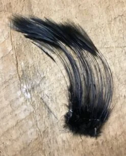 Cascade Crest Stripped Hackle Quills 11 Cascade Crest Stripped Hackle Quills -Fly Fishing Equipment Shop ccsq5 1