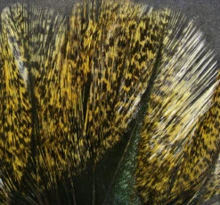 Hareline Coq De Leon 15 Hareline Coq De Leon -Fly Fishing Equipment Shop cdl2