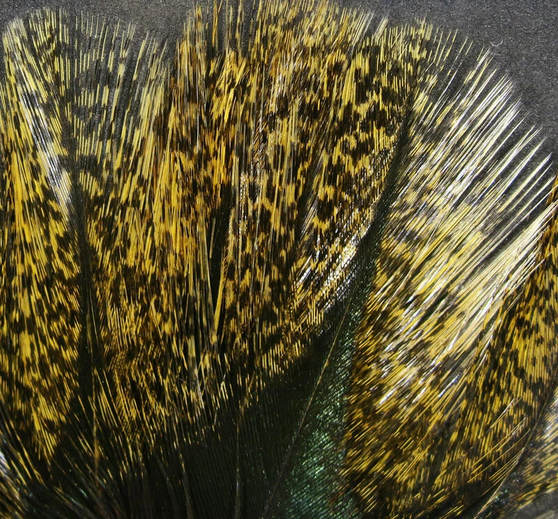 Hareline Coq De Leon 6 Hareline Coq De Leon - Image 4