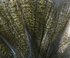 Hareline Coq De Leon 17 Hareline Coq De Leon -Fly Fishing Equipment Shop cdl3