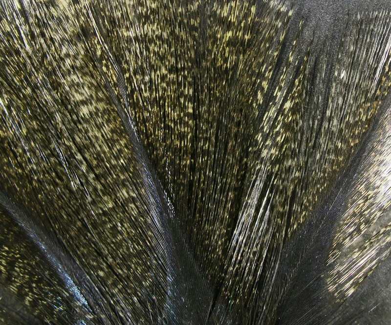 Hareline Coq De Leon 8 Hareline Coq De Leon - Image 6