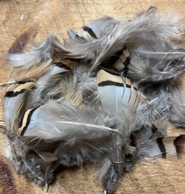 Chukar Flank Loose 3 Chukar Flank Loose