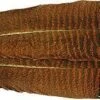 Wapsi Cinnamon Tip Turkey Quill, Natural Or Bleached -Fly Fishing Equipment Shop cturk 1