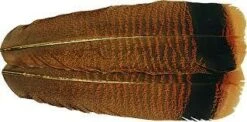 Wapsi Cinnamon Tip Turkey Quill, Natural Or Bleached