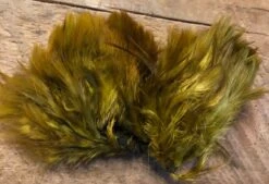 Dyed Genetic Soft Hackle Patch 9 Dyed Genetic Soft Hackle Patch -Fly Fishing Equipment Shop dknee3