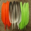 Nature’s Spirit Duck Quills Dyed And Natural 1 Nature’s Spirit Duck Quills Dyed And Natural -Fly Fishing Equipment Shop dquill