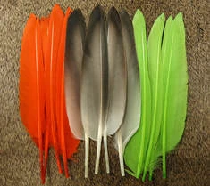 Nature’s Spirit Duck Quills Dyed And Natural 3 Nature’s Spirit Duck Quills Dyed And Natural
