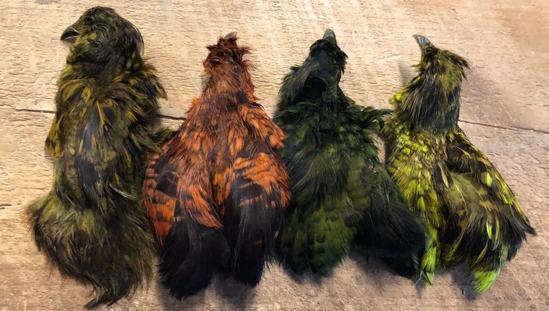 Ruffed Grouse Cape Natural And Dyed 4 Ruffed Grouse Cape Natural And Dyed - Image 2