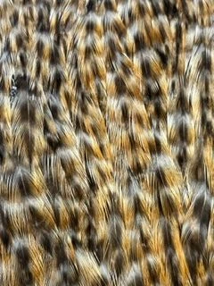 Ewing Variant Hen Capes: Badger, Rusty Dun, Honey Dun, Furnace, Cree And Dun Creek 5 Ewing Variant Hen Capes: Badger, Rusty Dun, Honey Dun, Furnace, Cree And Dun Creek - Image 3