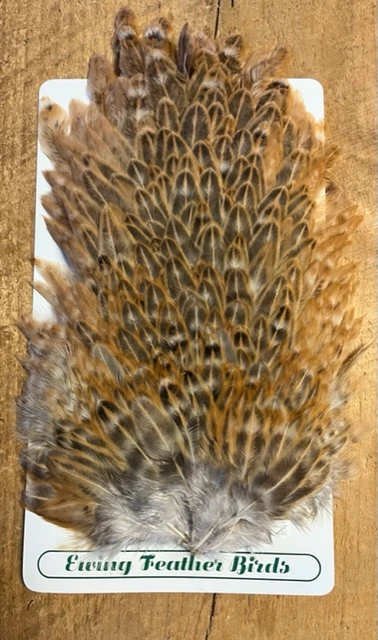 Ewing Variant Gamechanger Hen Saddle 3 Ewing Variant Gamechanger Hen Saddle