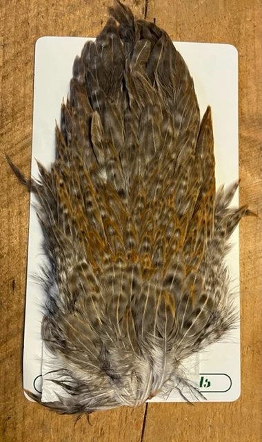 Ewing Variant Gamechanger Hen Saddle 4 Ewing Variant Gamechanger Hen Saddle - Image 2