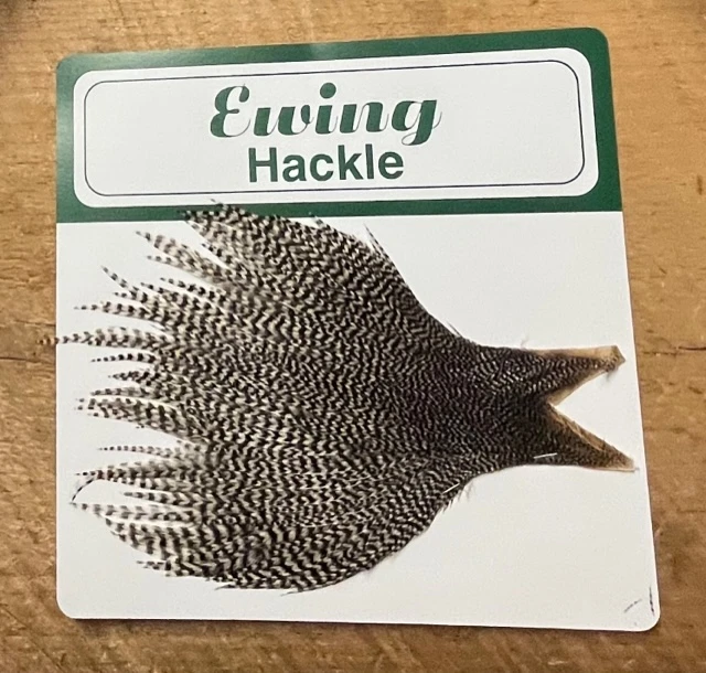 Ewing Hackle Large Cape Tops 6 Ewing Hackle Large Cape Tops - Image 4