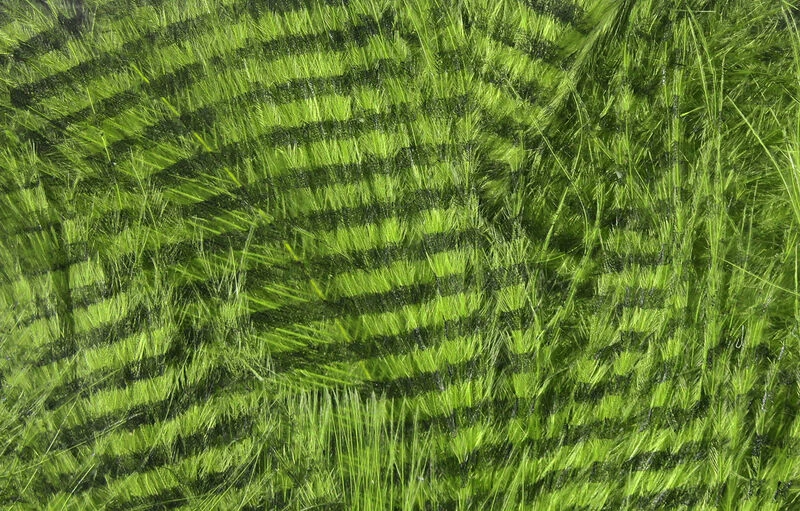 Hareline Fine Black Barred Marabou 7 Hareline Fine Black Barred Marabou - Image 5