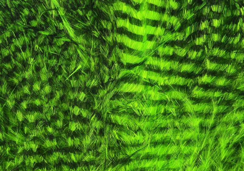 Hareline Fine Black Barred Marabou 4 Hareline Fine Black Barred Marabou - Image 2