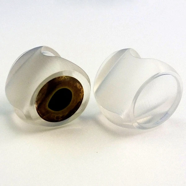 Fish Skull Fish Mask 4 Fish Skull Fish Mask - Image 2