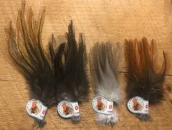 Gallo De Leon Saddle Feathers