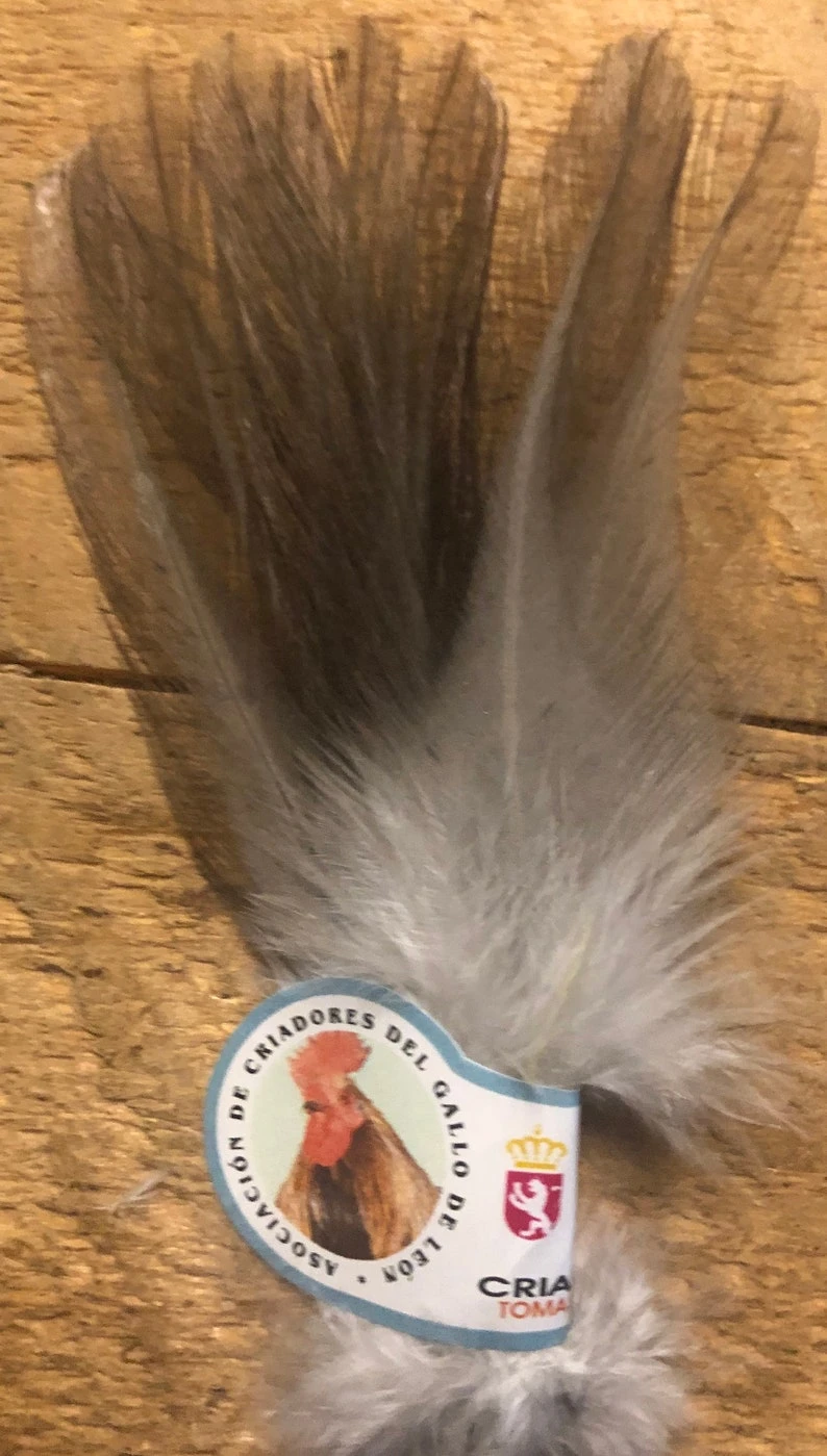 Gallo De Leon Saddle Feathers 4 Gallo De Leon Saddle Feathers - Image 2