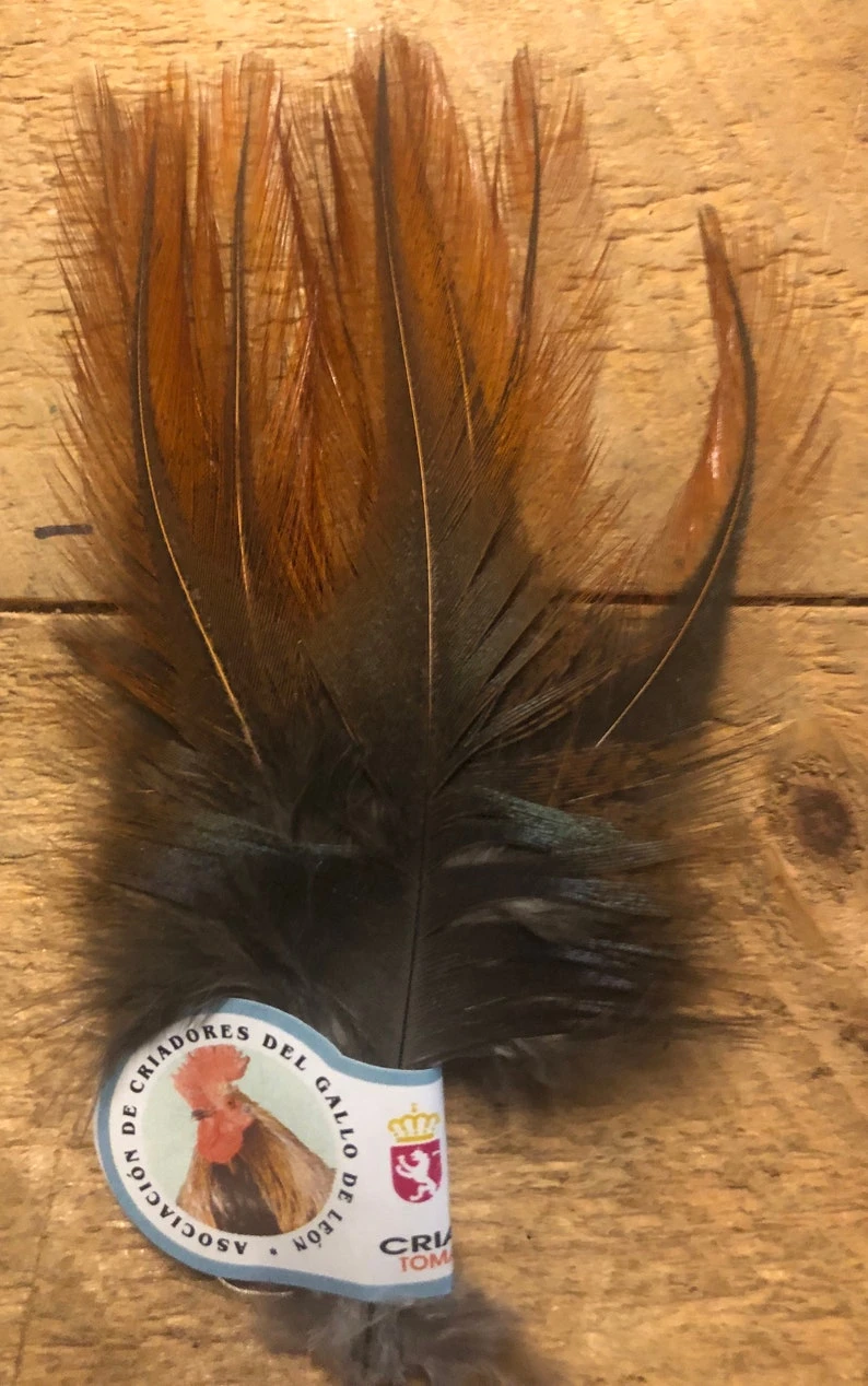 Gallo De Leon Saddle Feathers 5 Gallo De Leon Saddle Feathers - Image 3