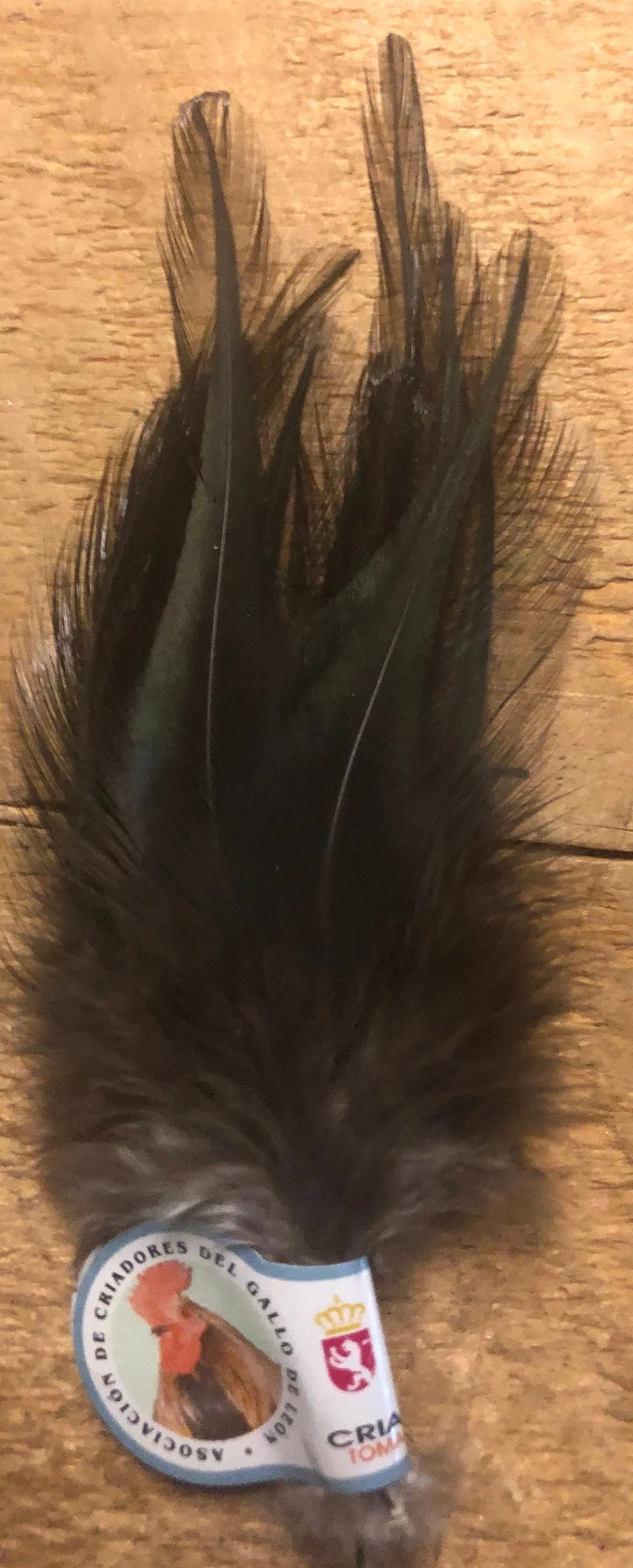 Gallo De Leon Saddle Feathers 6 Gallo De Leon Saddle Feathers - Image 4