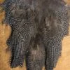 Wapsi Guinea Hen Skin 2 Wapsi Guinea Hen Skin -Fly Fishing Equipment Shop gh
