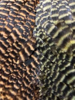 Wapsi Ewing Grizzly And Natural Hen Saddles 12 Wapsi Ewing Grizzly And Natural Hen Saddles -Fly Fishing Equipment Shop gh5