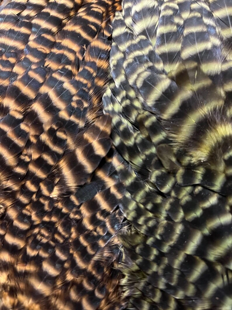 Wapsi Ewing Grizzly And Natural Hen Saddles 7 Wapsi Ewing Grizzly And Natural Hen Saddles - Image 5