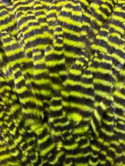 Wapsi Ewing Grizzly And Natural Hen Saddles 13 Wapsi Ewing Grizzly And Natural Hen Saddles -Fly Fishing Equipment Shop gh6