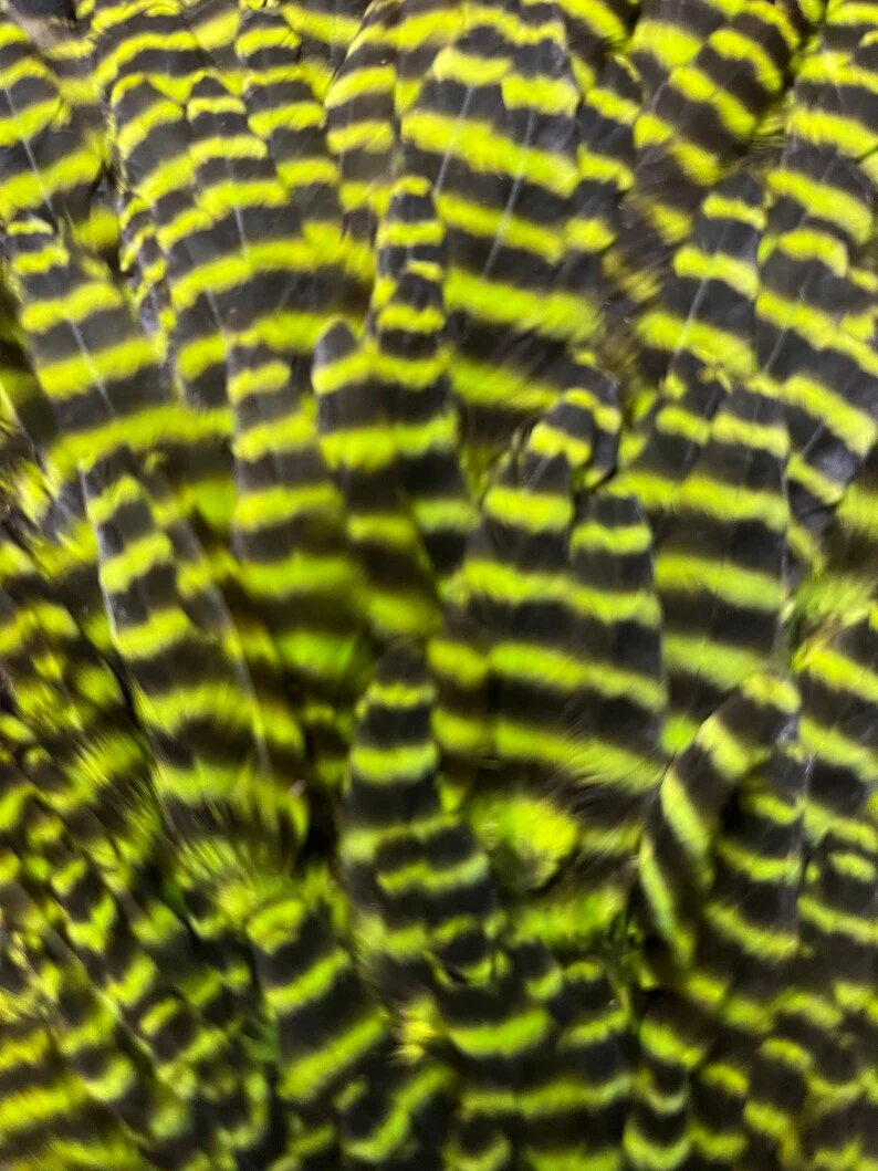 Wapsi Ewing Grizzly And Natural Hen Saddles 8 Wapsi Ewing Grizzly And Natural Hen Saddles - Image 6