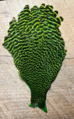 Wapsi Ewing Grizzly Hen Capes 8 Wapsi Ewing Grizzly Hen Capes -Fly Fishing Equipment Shop ghc3